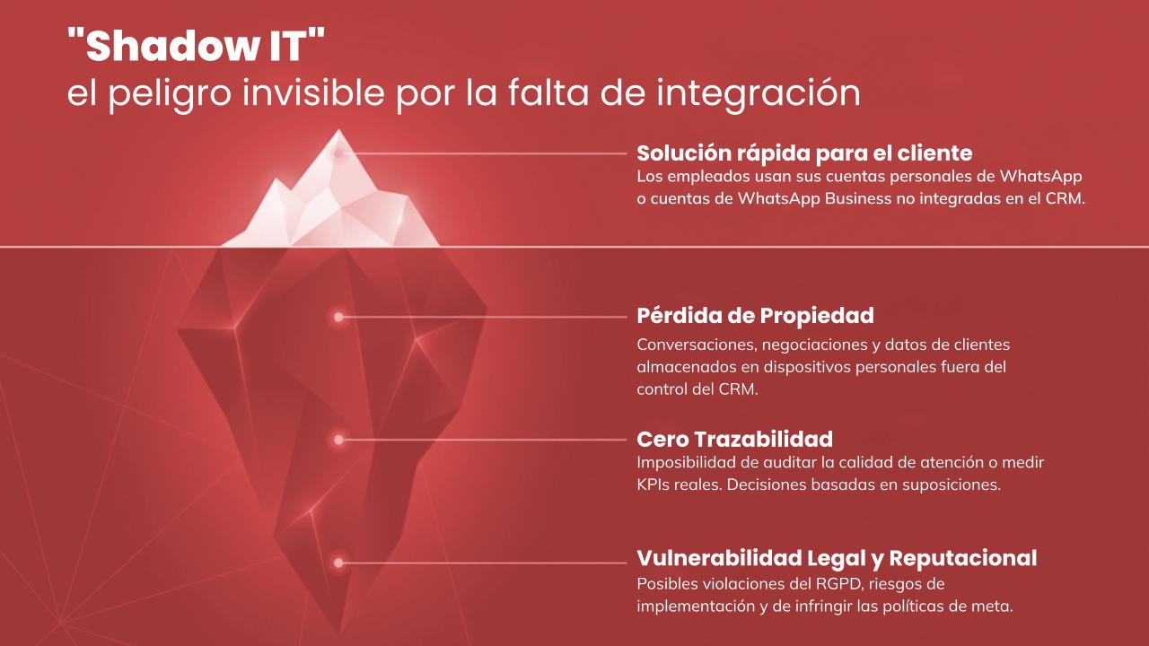 Recurso Shadow It realizada por Vozitel