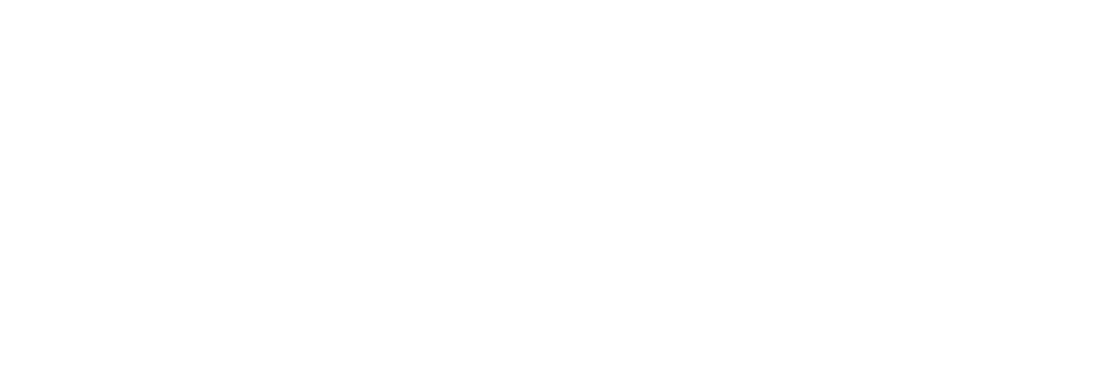 deepgram